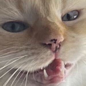 Reserved for kvroomvroom!